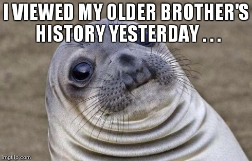 Awkward Moment Sealion | I VIEWED MY OLDER BROTHER'S HISTORY YESTERDAY . . . | image tagged in memes,awkward moment sealion | made w/ Imgflip meme maker