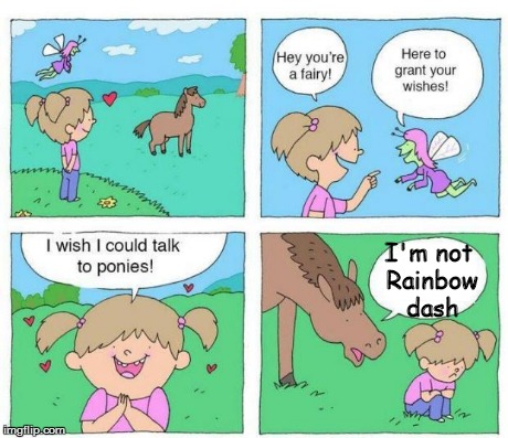 Bad luck MLP fans. I guess? | I'm not Rainbow dash | image tagged in talk to ponies | made w/ Imgflip meme maker