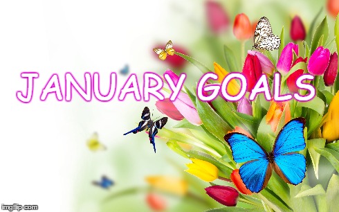 January Goals | JANUARY GOALS | image tagged in january,goals | made w/ Imgflip meme maker