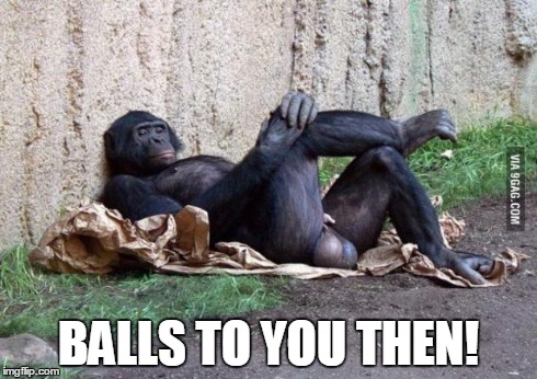 MonkeyBalls | BALLS TO YOU THEN! | image tagged in monkeyballs | made w/ Imgflip meme maker