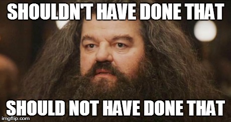 Hagrid | SHOULDN'T HAVE DONE THAT SHOULD NOT HAVE DONE THAT | image tagged in hagrid | made w/ Imgflip meme maker