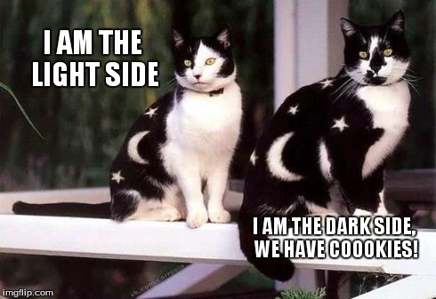 the darker and lighter side | I AM THE LIGHT SIDE I AM THE DARK SIDE, WE HAVE COOOKIES! | image tagged in moon,stars,light,dark,cats,cookies | made w/ Imgflip meme maker