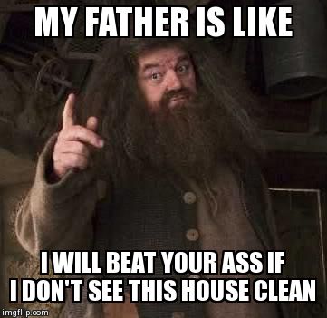 hagrid  | MY FATHER IS LIKE I WILL BEAT YOUR ASS IF I DON'T SEE THIS HOUSE CLEAN | image tagged in hagrid | made w/ Imgflip meme maker
