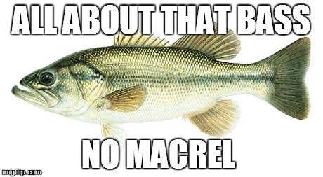 All about that bass | ALL ABOUT THAT BASS NO MACREL | image tagged in all about that bass | made w/ Imgflip meme maker
