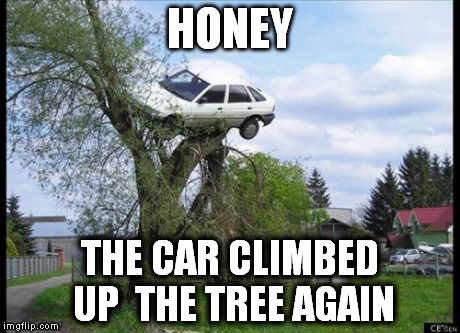 Secure Parking | HONEY THE CAR CLIMBED UP 
THE TREE AGAIN | image tagged in memes,secure parking | made w/ Imgflip meme maker