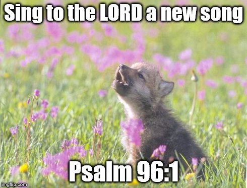 Baby Insanity Wolf Meme | Sing to the LORD a new song Psalm 96:1 | image tagged in memes,baby insanity wolf | made w/ Imgflip meme maker