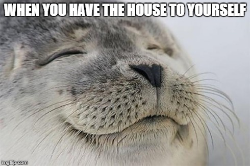 No siblings giving me grief, and no parents dishing out chores :) | WHEN YOU HAVE THE HOUSE TO YOURSELF | image tagged in memes,satisfied seal | made w/ Imgflip meme maker