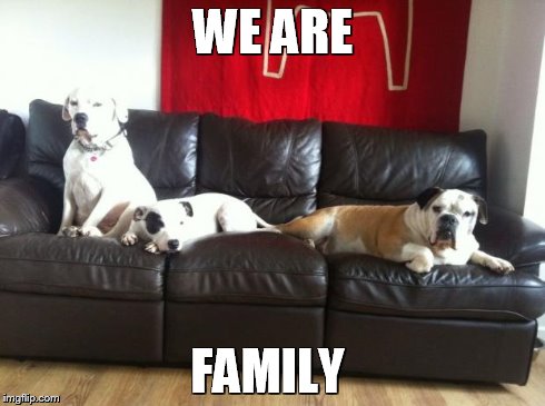 we are family | WE ARE FAMILY | image tagged in memes | made w/ Imgflip meme maker