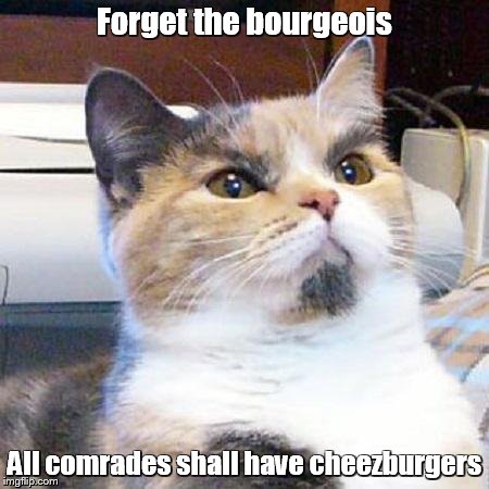 Forget the bourgeois All comrades shall have cheezburgers | image tagged in lenin cat | made w/ Imgflip meme maker
