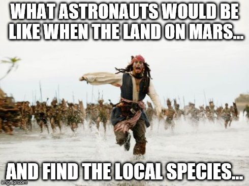 Jack Sparrow Being Chased | WHAT ASTRONAUTS WOULD BE LIKE WHEN THE LAND ON MARS... AND FIND THE LOCAL SPECIES... | image tagged in memes,jack sparrow being chased | made w/ Imgflip meme maker