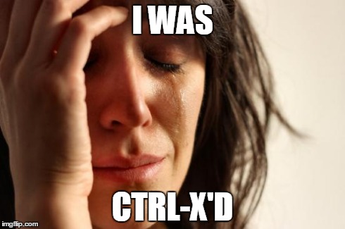 First World Problems Meme | I WAS CTRL-X'D | image tagged in memes,first world problems | made w/ Imgflip meme maker