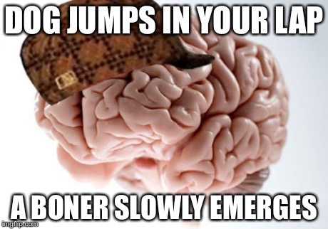 Scumbag Brain Meme | DOG JUMPS IN YOUR LAP A BONER SLOWLY EMERGES | image tagged in memes,scumbag brain,AdviceAnimals | made w/ Imgflip meme maker