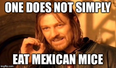 One Does Not Simply Meme | ONE DOES NOT SIMPLY EAT MEXICAN MICE | image tagged in memes,one does not simply | made w/ Imgflip meme maker