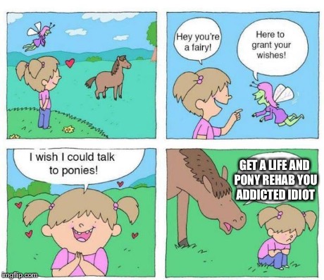 Talk to Ponies | GET A LIFE AND PONY REHAB YOU ADDICTED IDIOT | image tagged in talk to ponies | made w/ Imgflip meme maker