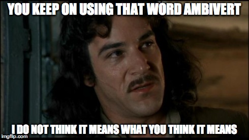 The Princess Bride | YOU KEEP ON USING THAT WORD AMBIVERT I DO NOT THINK IT MEANS WHAT YOU THINK IT MEANS | image tagged in the princess bride | made w/ Imgflip meme maker