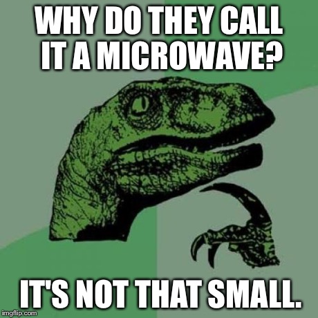 Philosoraptor | WHY DO THEY CALL IT A MICROWAVE? IT'S NOT THAT SMALL. | image tagged in memes,philosoraptor | made w/ Imgflip meme maker