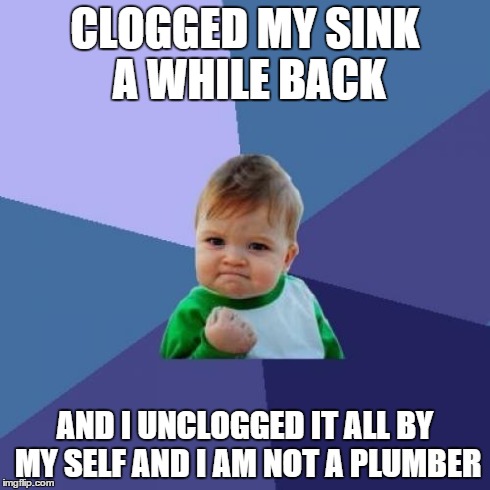 Success Kid Meme | CLOGGED MY SINK A WHILE BACK AND I UNCLOGGED IT ALL BY MY SELF AND I AM NOT A PLUMBER | image tagged in memes,success kid | made w/ Imgflip meme maker