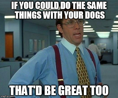 That Would Be Great Meme | IF YOU COULD DO THE SAME THINGS WITH YOUR DOGS THAT'D BE GREAT TOO | image tagged in memes,that would be great | made w/ Imgflip meme maker