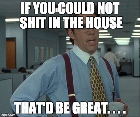 Thatd Be Great | IF YOU COULD NOT SHIT IN THE HOUSE THAT'D BE GREAT. . . . | image tagged in thatd be great | made w/ Imgflip meme maker