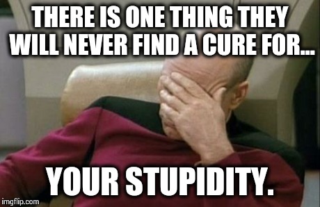 Captain Picard Facepalm | THERE IS ONE THING THEY WILL NEVER FIND A CURE FOR... YOUR STUPIDITY. | image tagged in memes,captain picard facepalm | made w/ Imgflip meme maker