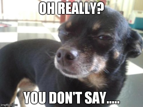 Skeptical Chihuahua | OH REALLY? YOU DON'T SAY..... | image tagged in skeptical chihuahua | made w/ Imgflip meme maker