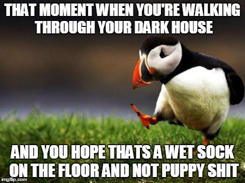 Unpopular Opinion Puffin | THAT MOMENT WHEN YOU'RE WALKING THROUGH YOUR DARK HOUSE AND YOU HOPE THATS A WET SOCK ON THE FLOOR AND NOT PUPPY SHIT | image tagged in memes,unpopular opinion puffin | made w/ Imgflip meme maker
