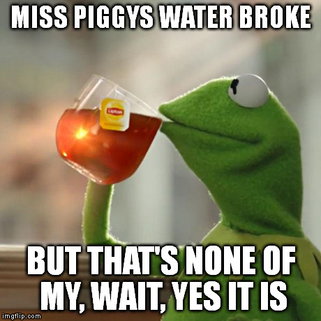 But That's None Of My Business Meme | MISS PIGGYS WATER BROKE BUT THAT'S NONE OF MY, WAIT, YES IT IS | image tagged in memes,but thats none of my business,kermit the frog | made w/ Imgflip meme maker