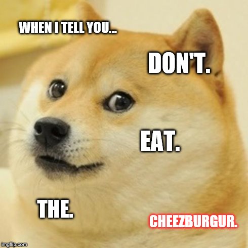 Doge | WHEN I TELL YOU... DON'T. EAT. THE. CHEEZBURGUR. | image tagged in memes,doge | made w/ Imgflip meme maker