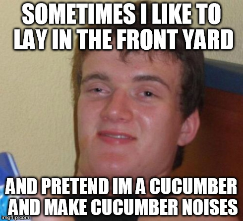 Only Sometimes Bro | SOMETIMES I LIKE TO LAY IN THE FRONT YARD AND PRETEND IM A CUCUMBER AND MAKE CUCUMBER NOISES | image tagged in memes,10 guy | made w/ Imgflip meme maker