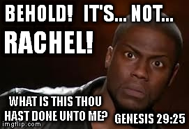 Seven Years Again | BEHOLD!   IT'S... NOT... WHAT IS THIS THOU HAST DONE UNTO ME? RACHEL! GENESIS 29:25 | image tagged in memes,kevin hart,genesis,bible,waiting on the lord,grace is sufficient | made w/ Imgflip meme maker