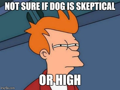 Futurama Fry Meme | NOT SURE IF DOG IS SKEPTICAL OR HIGH | image tagged in memes,futurama fry | made w/ Imgflip meme maker