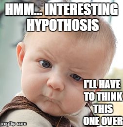 Skeptical Baby Meme | HMM... INTERESTING HYPOTHOSIS I'LL HAVE TO THINK THIS ONE OVER | image tagged in memes,skeptical baby | made w/ Imgflip meme maker