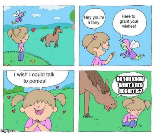 Talk to Ponies | DO YOU KNOW WHAT A RED ROCKET IS? | image tagged in talk to ponies | made w/ Imgflip meme maker