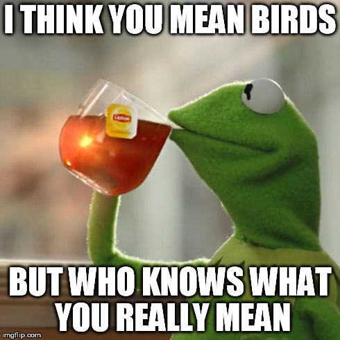 But That's None Of My Business Meme | I THINK YOU MEAN BIRDS BUT WHO KNOWS WHAT YOU REALLY MEAN | image tagged in memes,but thats none of my business,kermit the frog | made w/ Imgflip meme maker