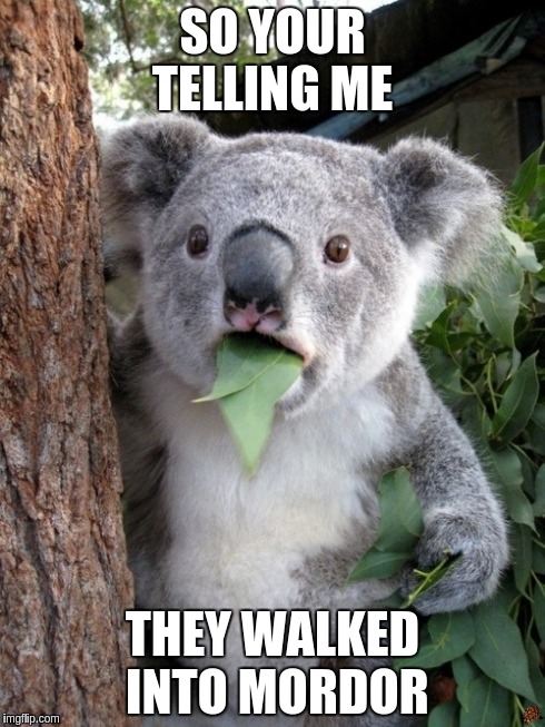 Surprised Koala | SO YOUR TELLING ME THEY WALKED INTO MORDOR | image tagged in memes,surprised coala,scumbag | made w/ Imgflip meme maker