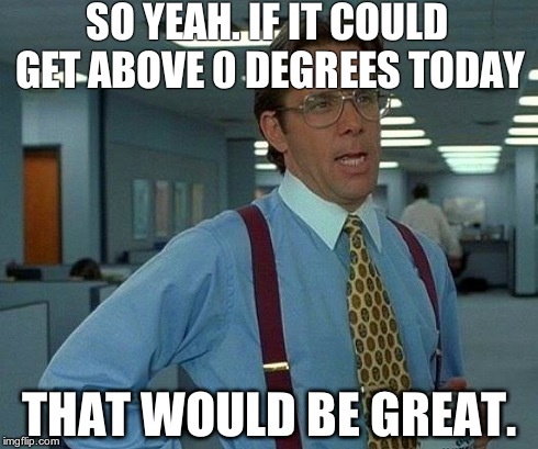 That Would Be Great Meme | SO YEAH. IF IT COULD GET ABOVE 0 DEGREES TODAY THAT WOULD BE GREAT. | image tagged in memes,that would be great | made w/ Imgflip meme maker