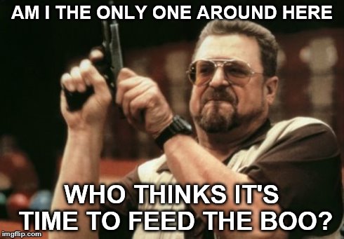 Am I The Only One Around Here Meme | AM I THE ONLY ONE AROUND HERE WHO THINKS IT'S TIME TO FEED THE BOO? | image tagged in memes,am i the only one around here | made w/ Imgflip meme maker