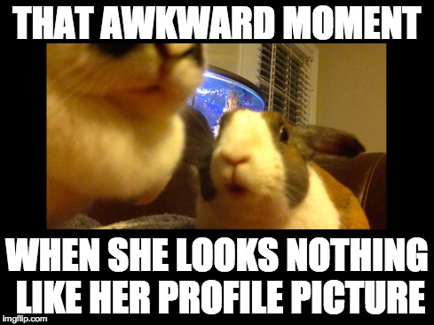 That Awkward Moment—Stunned Bun | THAT AWKWARD MOMENT WHEN SHE LOOKS NOTHING LIKE HER PROFILE PICTURE | image tagged in stunned bun,that awkward moment,pets,funny animals | made w/ Imgflip meme maker