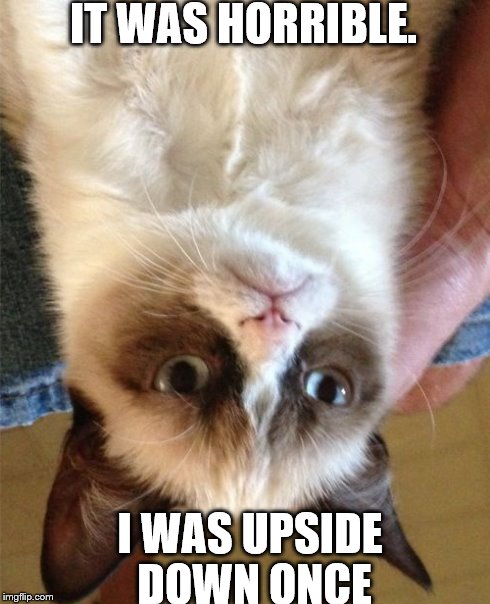 Grumpy Cat | IT WAS HORRIBLE. I WAS UPSIDE DOWN ONCE | image tagged in memes,grumpy cat | made w/ Imgflip meme maker