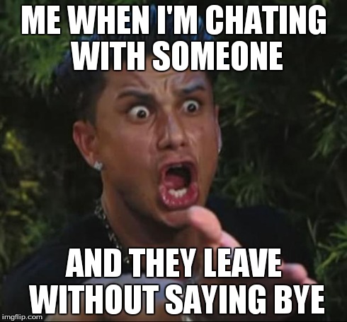 DJ Pauly D | ME WHEN I'M CHATING WITH SOMEONE AND THEY LEAVE WITHOUT SAYING BYE | image tagged in memes,dj pauly d | made w/ Imgflip meme maker