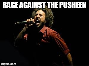 RATP | RAGE AGAINST THE PUSHEEN | image tagged in music,rage against the machine | made w/ Imgflip meme maker