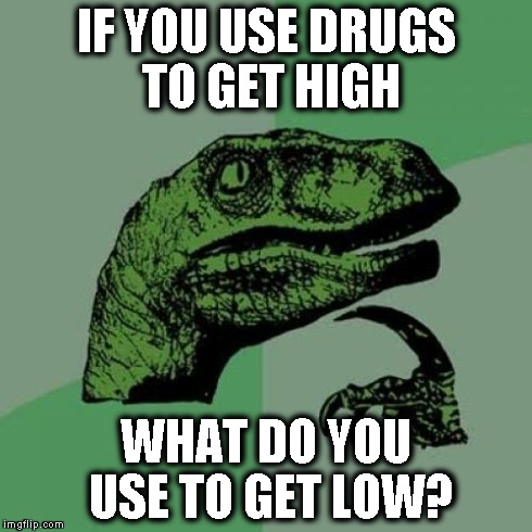Philosoraptor Meme | IF YOU USE DRUGS TO GET HIGH WHAT DO YOU USE TO GET LOW? | image tagged in memes,philosoraptor | made w/ Imgflip meme maker