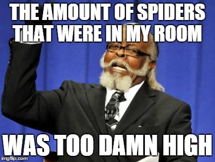 Too Damn High Meme | THE AMOUNT OF SPIDERS THAT WERE IN MY ROOM WAS TOO DAMN HIGH | image tagged in memes,too damn high,AdviceAnimals | made w/ Imgflip meme maker
