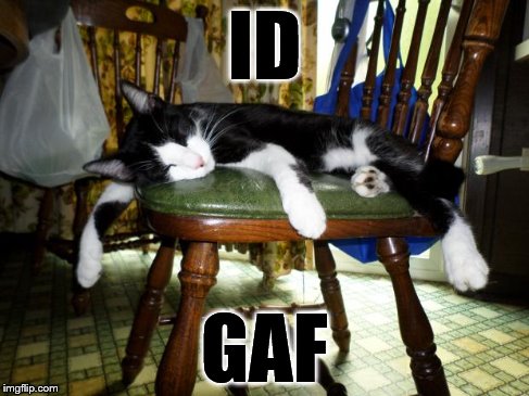 The Idgaf Cat | ID GAF | image tagged in idgaf,lazy animals,cat,lazy cat | made w/ Imgflip meme maker
