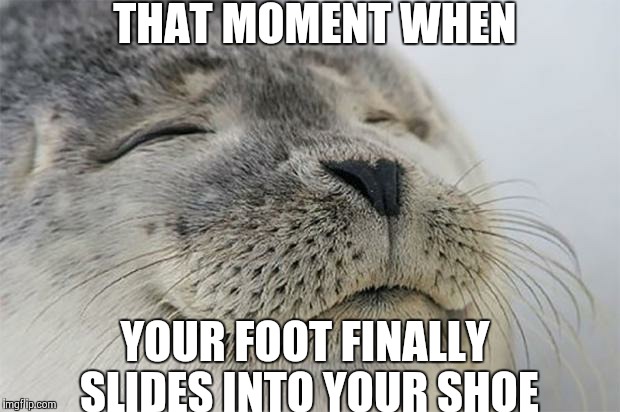 Satisfied Seal Meme | THAT MOMENT WHEN YOUR FOOT FINALLY SLIDES INTO YOUR SHOE | image tagged in memes,satisfied seal | made w/ Imgflip meme maker