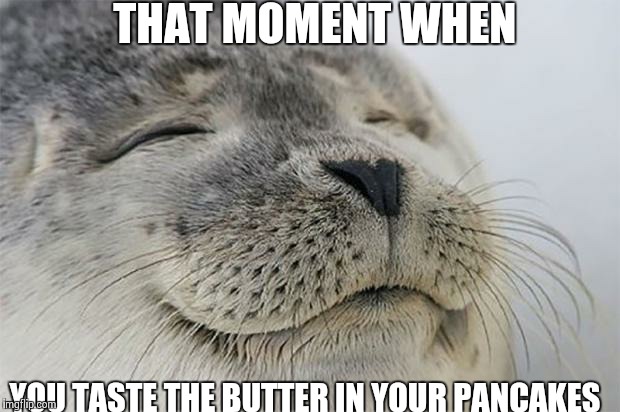 Satisfied Seal Meme | THAT MOMENT WHEN YOU TASTE THE BUTTER IN YOUR PANCAKES | image tagged in memes,satisfied seal | made w/ Imgflip meme maker