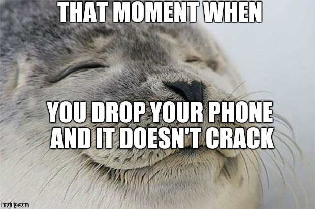 Satisfied Seal Meme | THAT MOMENT WHEN YOU DROP YOUR PHONE AND IT DOESN'T CRACK | image tagged in memes,satisfied seal | made w/ Imgflip meme maker