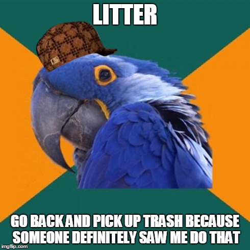 Paranoid Parrot Meme | LITTER GO BACK AND PICK UP TRASH BECAUSE SOMEONE DEFINITELY SAW ME DO THAT | image tagged in memes,paranoid parrot,scumbag,AdviceAnimals | made w/ Imgflip meme maker
