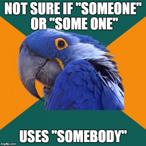 Paranoid Parrot Meme | NOT SURE IF "SOMEONE" OR "SOME ONE" USES "SOMEBODY" | image tagged in memes,paranoid parrot | made w/ Imgflip meme maker