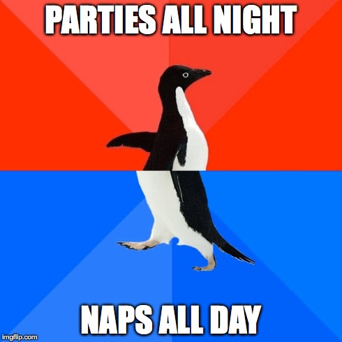 True story (for someone else). | PARTIES ALL NIGHT NAPS ALL DAY | image tagged in memes,socially awesome awkward penguin,party hard | made w/ Imgflip meme maker